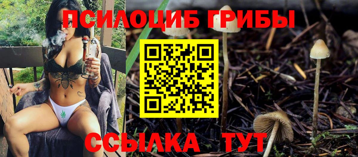 Галлюциногенные грибы мицелий  Вход с VPN  Первоуральск 