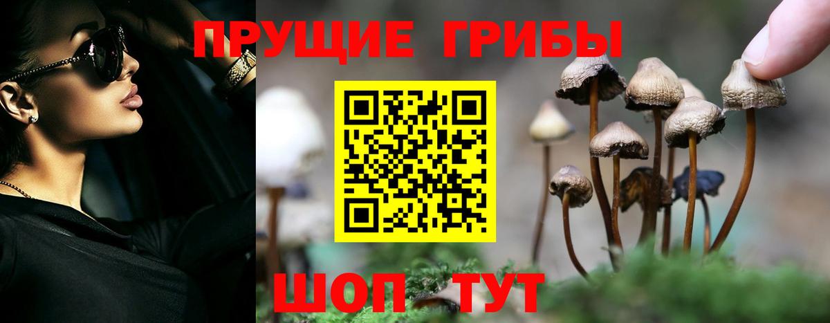 Псилоцибиновые грибы мухоморы Первоуральск
